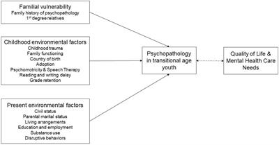 Dimensional model on how familial vulnerability and environmental factors impact transitional age youth psychopathology: The Transition_psy study